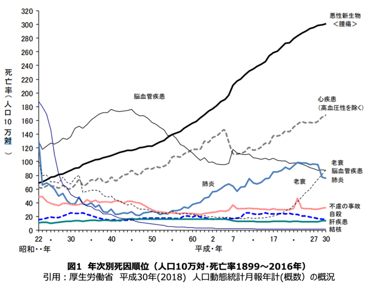 年次別死因順位（人口10万対・死亡率1899～2016年）

